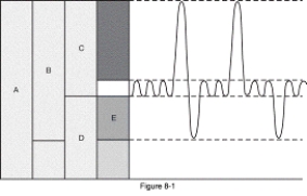 Which of the measurements shown in the figure is obtained by using body plethysmography?   A)  B B)  C C)  D D)  E
