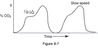 The capnogram seen in the figure shows which of the following?   A)  Excessive phase 4 B)  Deep  curare cleft  C)  Indistinguishable phase 3 D)  Slow cardiac oscillation