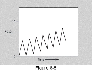 The capnogram seen in the figure shows which of the following?   A)  Chronic obstructive pulmonary disease B)  Cardiac oscillations C)  Rebreathing exhaled gases D)  Cheyne-Stokes breathing