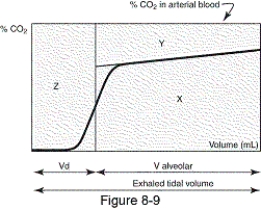 In the figure,what does area X represent?   A)  Amount of CO₂ not eliminated because of alveolar dead space B)  Amount of CO₂ not eliminated due to anatomic dead space C)  Amount of CO₂ in a single breath D)  Amount of CO₂ rebreathed
