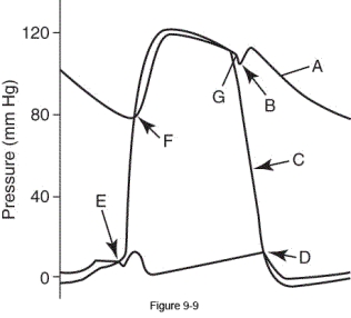 At what point in the figure do the atrioventricular valves close?   A)  B B)  D C)  E D)  F