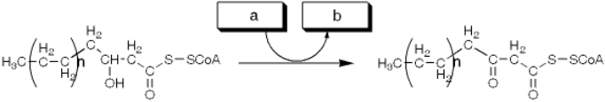 The enzyme activity catalyzing the reaction shown is best termed a   A)  reductase B)  hydratase C)  dehydratase D)  dehydrogenase