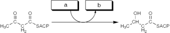 The enzyme activity catalyzing the reaction shown is best termed a   A)  reductase B)  ketothiolase C)  transferase D)  dehydratase