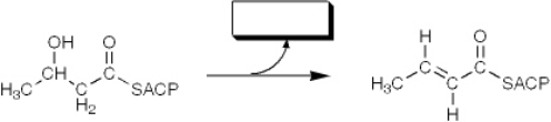 The enzyme activity catalyzing the reaction shown is best termed a   A)  reductase B)  ketothiolase C)  transferase D)  dehydratase