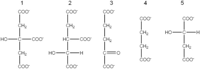 Exhibit 19A   The following compounds are all intermediates in the citric acid cycle. Refer to Exhibit 19A.Which intermediate does FAD oxidize? A)  2 B)  3 C)  4 D)  5 E)  More than one of these is oxidized by FAD.