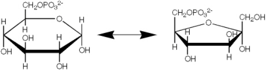 Which enzyme catalyzes the reaction shown?   A)  an epimerase B)  an isomerase C)  a mutase D)  a dehydrogenase