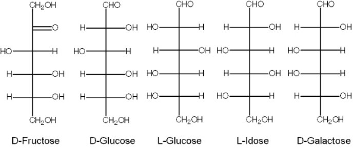 <strong>Exhibit 16A   Refer to Exhibit 16A.Diastereoisomers of D-Glucose include all of these,except:</strong> A) D-Fructose B) L-Glucose C) L-Idose D) D-Galactose E) All of these are diastereoisomers of D-Glucose. <div style=padding-top: 35px> 