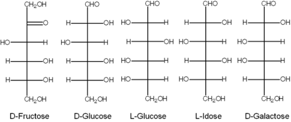 Exhibit 16B    -Refer to Exhibit 16B. The enantiomer of D-glucose is: A)  D-Fructose B)  D-Glucose C)  L-Glucose D)  L-Idose E)  D-Galactose