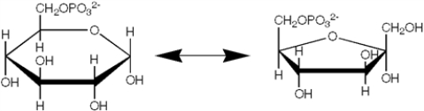 Which enzyme catalyzes the reaction shown?   A)  an epimerase B)  an isomerase C)  a mutase D)  a dehydrogenase