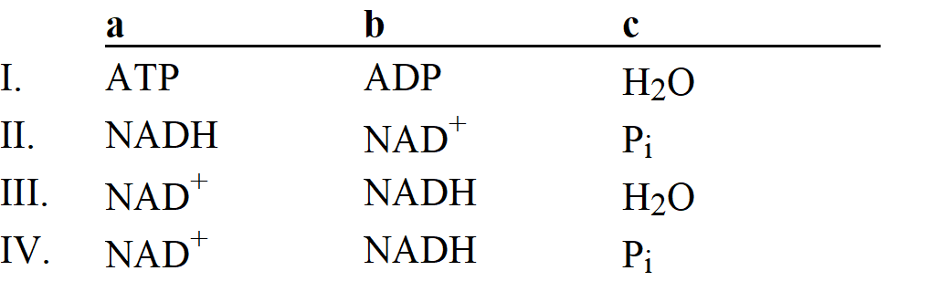 Which group of small molecules best fit the boxes associated with the reaction shown?     A)  I B)  II C)  III D)  IV