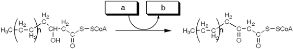 The enzyme activity catalyzing the reaction shown is best termed a   A) reductase B) hydratase C) dehydratase D) dehydrogenase