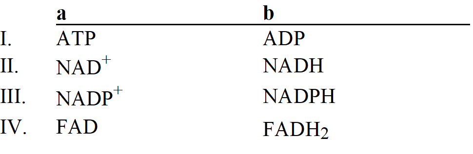 Which group of small molecules best fit the boxes associated with the reaction shown?     A)  I B)  II C)  III D)  IV