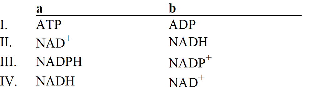 <strong>Which group of small molecules best fit the boxes associated with the reaction shown? </strong> A) I B) II C) III D) IV