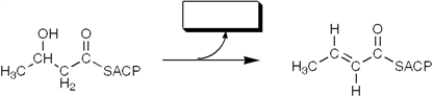 The enzyme activity catalyzing the reaction shown is best termed a   A)  reductase B)  ketothiolase C)  transferase D)  dehydratase