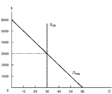 <strong>Figure 6.3 Iraqi Computer Market and Economic Sanctions   Consider Figure 6.3.With free trade,Iraq purchases ____ computers at a price of $____,and realizes $____ of consumer surplus from the availability of computers.</strong> A) 30,$3,000,$25,000 B) 30,$3,000,$35,000 C) 30,$3,000,$45,000 D) 30,$3,000,$55,000 <div style=padding-top: 35px> 