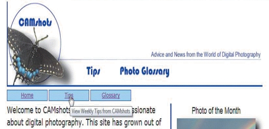   -The accompanying figure shows an example of a(n) ____ applied to a link A)  access B)  tooltip C)  alternative D)  base