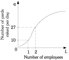 Refer to the information provided in Figure 7.3 below to answer the questions that follow.   Figure 7.3 -Refer to Figure 7.3. The average product of the second worker is ________ yards raked. A)  4 B)  13.5 C)  14 D)  27