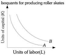Refer to the information provided in Figure 7.8 below to answer the questions that follow.   Figure 7.8 -Refer to Figure 7.8 above. If Roller Skates Unlimited moves from isoquant B to isoquant A, the number of roller skates produced A)  decreases. B)  increases. C)  remains constant, but Roller Skates Unlimited uses more capital and more labor. D)  remains constant, but input prices have risen.