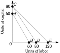 Refer to the information provided in Figure 7.9 below to answer the questions that follow.   Figure 7.9 -Refer to Figure 7.9. The general formula for the slope of any of the isocost lines is A)  -PK/PL. B)  -PL/PK. C)  TC/PL. D)  TC/PK.