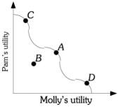 Refer to the information provided in Figure 18.2 below to answer the questions that follow.   Figure 18.2 -Refer to Figure 18.2. Based on this diagram, which of the following statements is true? A)  To both Pam and Molly, Point B is clearly preferable to Point C. B)  Point D is the best point that this society can obtain. C)  Both Pam and Molly are better off at Point C than at Point B. D)  From this information, it is impossible to determine if society is better off at Point A or Point C.