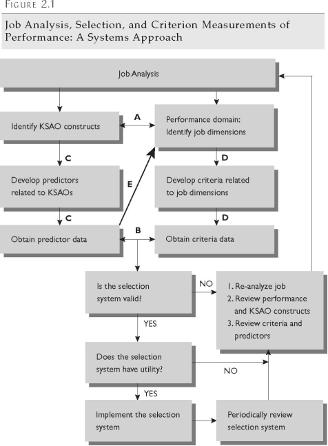   -Describe the process and components of selection model Figure 2.1.