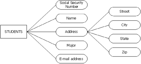 For the following entity and attribute model,what would be the key attribute of the Students entity?   A)  social security number B)  name C)  address D)  street