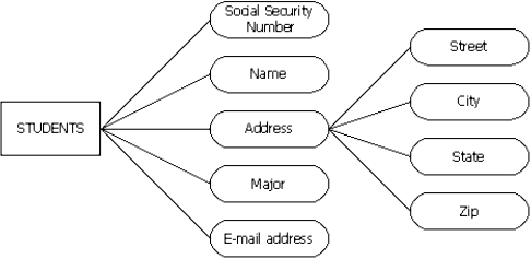 For the following diagram,which item is the entity?   A)  Students B)  Name C)  Address D)  Street