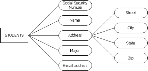 For the following diagram, which item is the entity?   A) students B) name C) address D) street