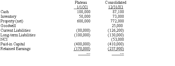 Plateau Company acquires an 80% interest in Seagull Company for $200,000 cash on January 1, 20X1. On that date, Seagull's equipment is undervalued by $25,000; any excess of cost over book value is attributed to goodwill. Seagull's balance sheet on the date of the purchase is as follows:    The controlling interest in consolidated net income for 20X1 is $97,900; the noncontrolling interest is $6,000. During the year Plateau retired long-term debt by issuing common stock. Dividends declared and paid during the year by Plateau and Seagull were $30,000 and $15,000, respectively. During the year Seagull sold equipment with a book value of $30,000 for a gain of $3,000; there were no purchases of property, plant, or equipment during the year.    Required: Prepare a statement of cash flows using the indirect method for Plateau Company and its subsidiary for the year ended December 31, 20X1.
