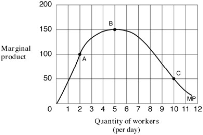 <strong>Exhibit 6-3 A marginal product curve   As shown in Exhibit 6-3,what was the marginal product of labour when only one worker was hired?</strong> A)50. B)100. C)150. D)175. <div style=padding-top: 35px> 
