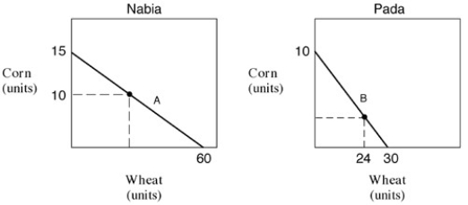 <strong>Exhibit 18-1 Production possibilities curves In Exhibit 18-1,the production possibilities curves of wheat and corn for Nabia and Pada are presented.If these two nations trade,Nabia should specialise in the production of:</strong> A)corn. B)corn and wheat. C)neither product since Pada has the comparative advantage in the production of both. D)neither product since Pada has the absolute advantage in the production of both. E)wheat.