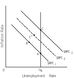 Exhibit 16-3    -Refer to Exhibit 16-3.The economy is at point C.If a decrease in aggregate demand is correctly anticipated in the short run,new classical theory would predict A)  no movement from point C. B)  immediate movement to point C'. C)  immediate movement to point B. D)  immediate movement to point A.