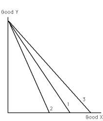 Exhibit 21-8    -Refer to Exhibit 21-8.If the price of good X rises,the budget constraint moves from budget constraint A)  1 to 2. B)  2 to 3. C)  3 to 1. D)  1 to 3. E)  a or c