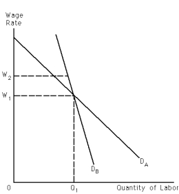 <strong>Exhibit 28-9 Refer to Exhibit 28-9.Let DA and DB represent demand for labor curves facing unions A and B,respectively.As a result of their efforts,both unions succeed in increasing the wage rate from W? to W?.In terms of the wage-employment trade-off,the wage increase</strong> A) had a larger impact on employment for union A than for union B. B) had a larger impact on employment for union B than for union A. C) had the same impact on employment in both unions. D) cannot be determined without further information.