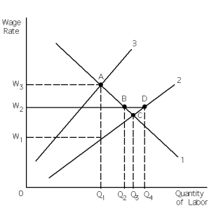 Exhibit 28-11    -Refer to Exhibit 28-11.The firm in the exhibit is a monopsony.We have deliberately not identified the three curves in the exhibit.They are simply curves 1,2,and 3.If (union) collective bargaining with the monopsony guarantees the wage rate that workers will be paid is W<sub>2</sub>,then the factor supply curve is A)  curve 2. B)  curve 3. C)  the curve that starts at W<sub>2</sub>, goes to point B, then down to point C, then moves up curve 2. D)  the curve that starts at W<sub>2</sub>, goes to point D, and then moves up curve 2. E)  the curve that starts at W<sub>2 </sub>and goes to point D.