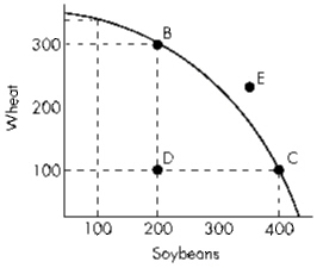 Exhibit 3-9   Refer to Exhibit 3-9.In order to move from Point D to Point C,the economy will have to give up: A)  200 bushels of wheat. B)  nothing. C)  200 bushels of soybeans. D)  100 bushels of wheat.