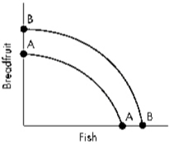 Exhibit 3-11   Refer to Exhibit 3-11.Which of the following best explains how the society producing breadfruit and fish depicted above could have moved from curve AA to curve BB? A)  The society reallocated its resources toward catching a greater number of fish. B)  The society reallocated its resources toward the production of a greater quantity of breadfruit. C)  A new school of fish was located. D)  The society experienced significant immigration of labor.