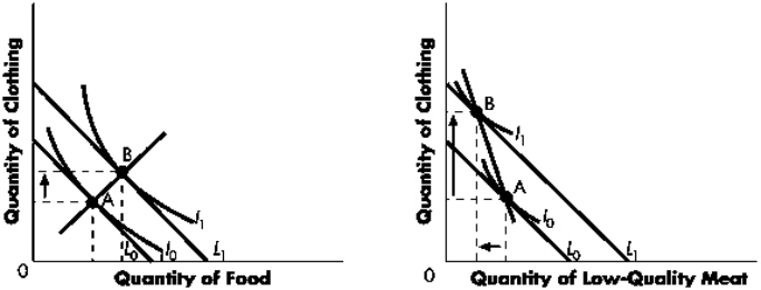 Exhibit 10-5   Refer to Exhibit 10-5.The graph on the left implies that: A)  clothing is a normal good and food is a normal good. B)  clothing is a normal good and food is an inferior good. C)  clothing is an inferior good and food is a normal good. D)  clothing is an inferior good and food is an inferior good.