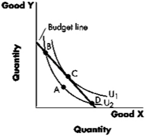 In the diagram,a consumer equilibrium is depicted by:    A)  Point A. B)  Point B. C)  Point C. D)  Point D.