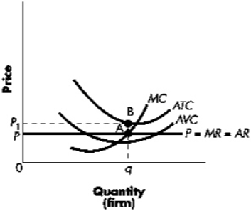 Exhibit 12-6   Refer to Exhibit 12-6.If P represents the market price for a price-taking firm,the best course of action in the short run for the firm is to: A)  shut down immediately. B)  continue operating because average total cost exceeds price. C)  continue operating because price exceeds average total cost. D)  continue operating because price exceeds average variable cost.