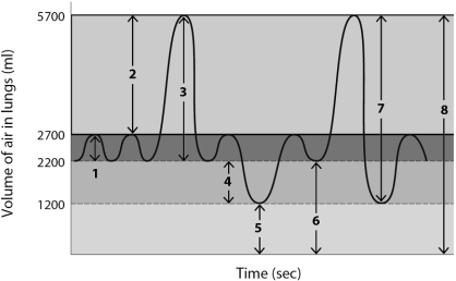    Use this figure to answer the corresponding questions. -Number ____ identifies the ____________________, which is the minimum amount of air left in the lungs after maximum exhalation.