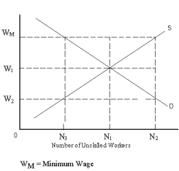 Exhibit 4-7   -Refer to Exhibit 4-7.How many unskilled workers are employed at the minimum wage? A)  N<sub>2</sub> B)  N<sub>1</sub> C)  N<sub>3</sub> D)  N<sub>1 </sub>+ N<sub>3</sub>