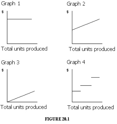   Which of the graphs in Figure 20-1 illustrates the behavior of a total fixed cost? A)  Graph 2 B)  Graph 3 C)  Graph 4 D)  Graph 1