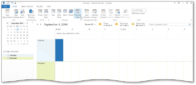   -As shown in the accompanying figure,the ____ displays one day at a time. A)  item area B)  Date Navigator C)  My Calendars pane D)  Schedule View