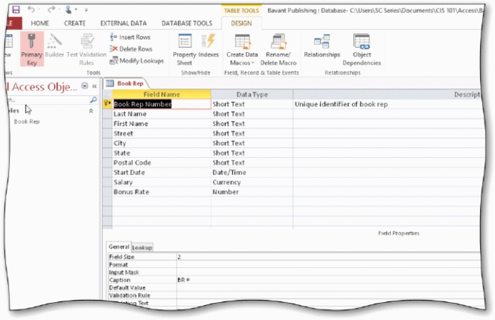   -In the accompanying figure,the key symbol that appears in the row selector for the Book Rep Number field indicates that Book Rep Number is the ____ for the table. A)  principal key B)  foreign key C)  main key D)  primary key