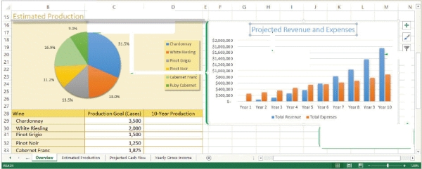   -Referring to the figure above,in the column chart,the values along the left side ($200,000,$400,000,$600,000,etc.) are ____. A) plot markers B) plot marks C) data markers D) axis labels