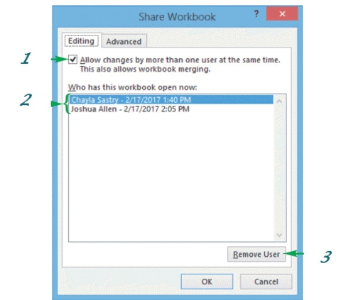   -The item marked 1 in the accompanying figure is checked to _______. A) allow individual editing of the workbook B) allow simultaneous editing of the workbook C) allow alternate editing of the workbook D) allow consecutive editing of the workbook