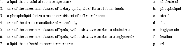 Match the fat-related terms on the right to their appropriate definitions on the left.  