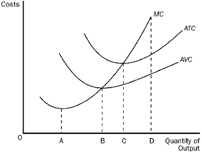 Given the cost curves shown in the diagram below,the efficient scale of production occurs at point   A) a. B) B. C) C. D) D.