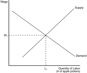 Figure 18-2    -Refer to Figure 18-2.If the price of apples increases,the wage will A) increase and more apple pickers will be hired. B) decrease and more apple pickers will be hired. C) increase and fewer apple pickers will be hired. D) decrease and fewer apple pickers will be hired.